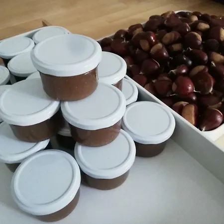 Le Domaine Du Preau 招待所 Saint-Palais-de-Negrignac